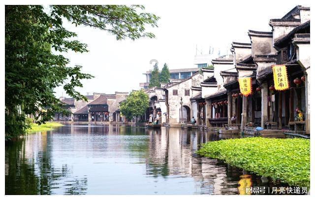 动物帮帮忙保卫家园